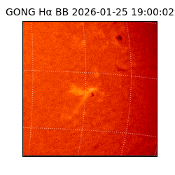 gong - 2026-01-25T19:00:02