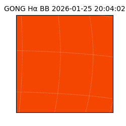 gong - 2026-01-25T20:04:02