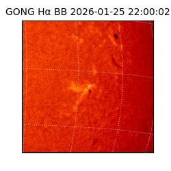 gong - 2026-01-25T22:00:02