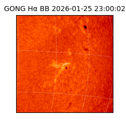 gong - 2026-01-25T23:00:02