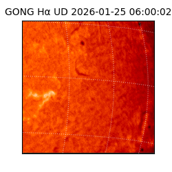 gong - 2026-01-25T06:00:02