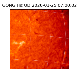gong - 2026-01-25T07:00:02
