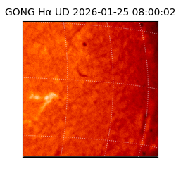 gong - 2026-01-25T08:00:02