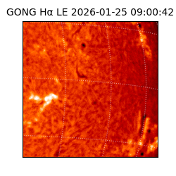 gong - 2026-01-25T09:00:42