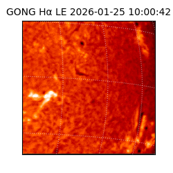 gong - 2026-01-25T10:00:42