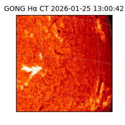 gong - 2026-01-25T13:00:42