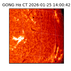 gong - 2026-01-25T14:00:42