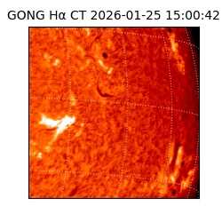 gong - 2026-01-25T15:00:42