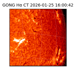 gong - 2026-01-25T16:00:42