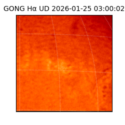 gong - 2026-01-25T03:00:02