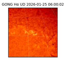 gong - 2026-01-25T06:00:02