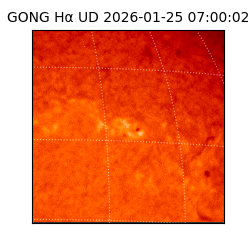 gong - 2026-01-25T07:00:02