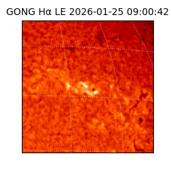 gong - 2026-01-25T09:00:42