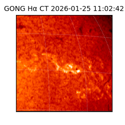 gong - 2026-01-25T11:02:42