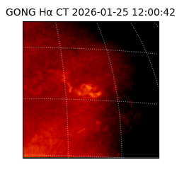 gong - 2026-01-25T12:00:42