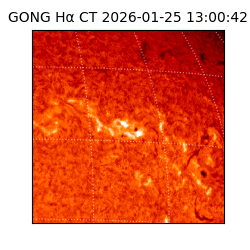 gong - 2026-01-25T13:00:42