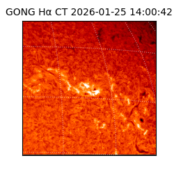 gong - 2026-01-25T14:00:42