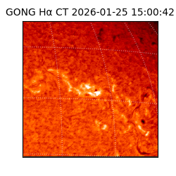 gong - 2026-01-25T15:00:42