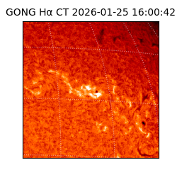 gong - 2026-01-25T16:00:42