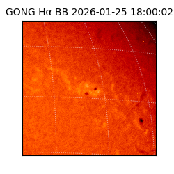 gong - 2026-01-25T18:00:02