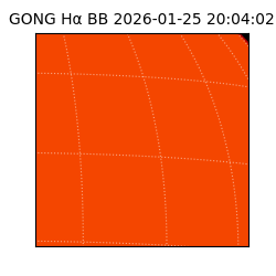 gong - 2026-01-25T20:04:02