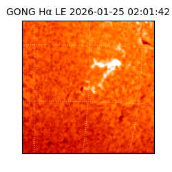 gong - 2026-01-25T02:01:42