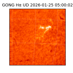 gong - 2026-01-25T05:00:02
