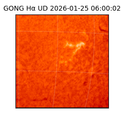 gong - 2026-01-25T06:00:02