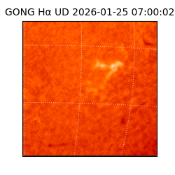 gong - 2026-01-25T07:00:02
