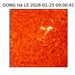 gong - 2026-01-25T09:00:42