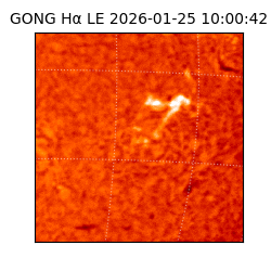 gong - 2026-01-25T10:00:42