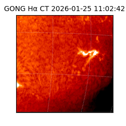 gong - 2026-01-25T11:02:42