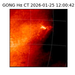 gong - 2026-01-25T12:00:42