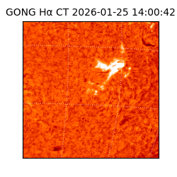 gong - 2026-01-25T14:00:42