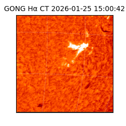 gong - 2026-01-25T15:00:42