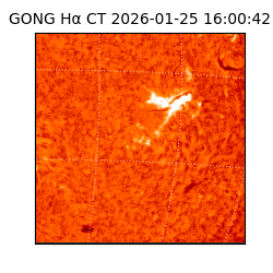 gong - 2026-01-25T16:00:42