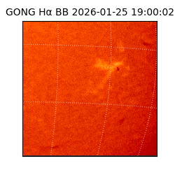 gong - 2026-01-25T19:00:02