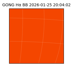 gong - 2026-01-25T20:04:02