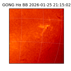 gong - 2026-01-25T21:15:02