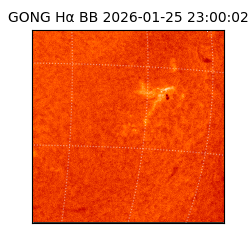 gong - 2026-01-25T23:00:02