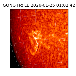gong - 2026-01-25T01:02:42