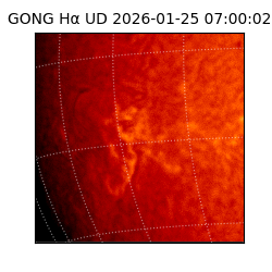 gong - 2026-01-25T07:00:02