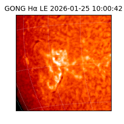 gong - 2026-01-25T10:00:42