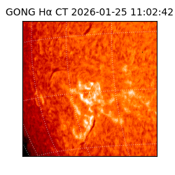 gong - 2026-01-25T11:02:42