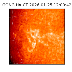 gong - 2026-01-25T12:00:42