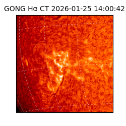 gong - 2026-01-25T14:00:42