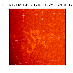 gong - 2026-01-25T17:00:02