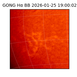 gong - 2026-01-25T19:00:02