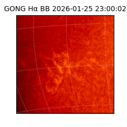 gong - 2026-01-25T23:00:02