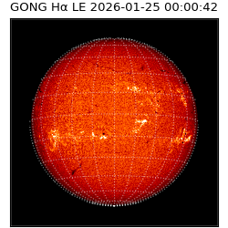 gong - 2026-01-25T00:00:42